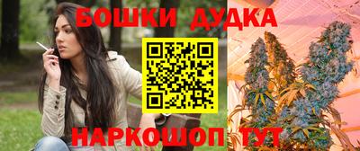 jwh Брянск