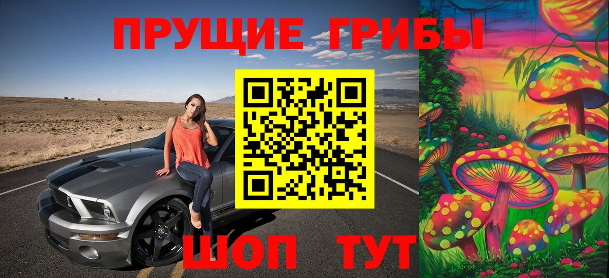 Галлюциногенные грибы Psilocybine cubensis Городец