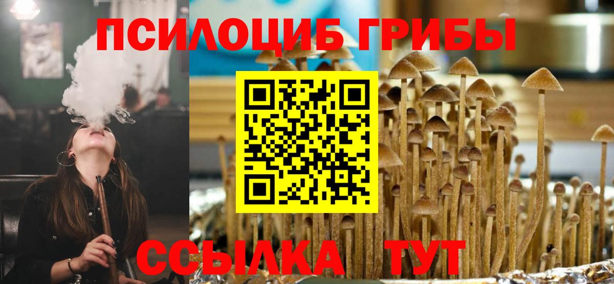 Городец  Галлюциногенные грибы мицелий  Вход с VPN 